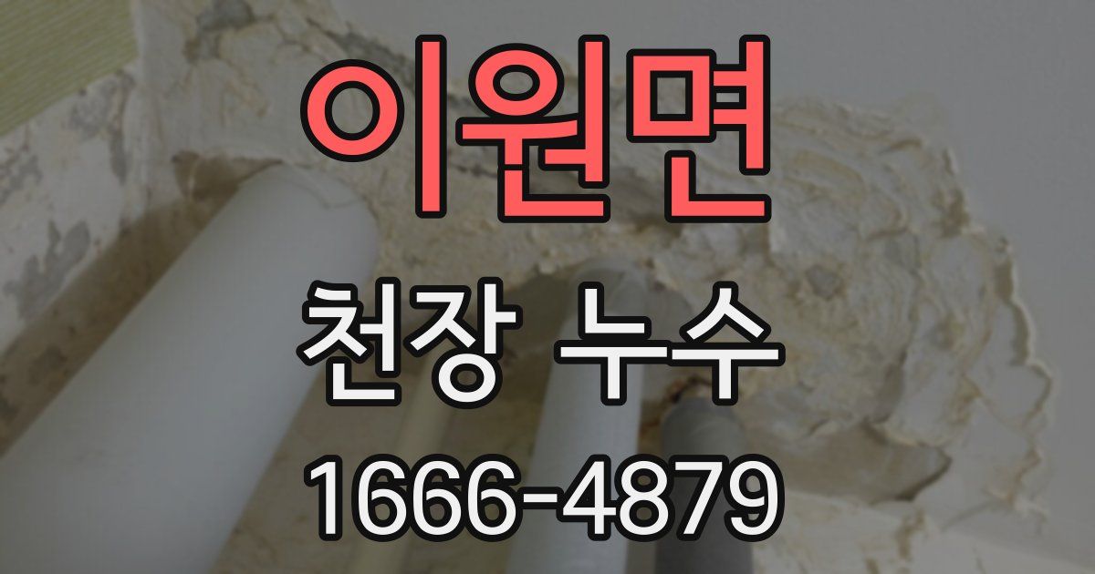 이원면 천장 누수