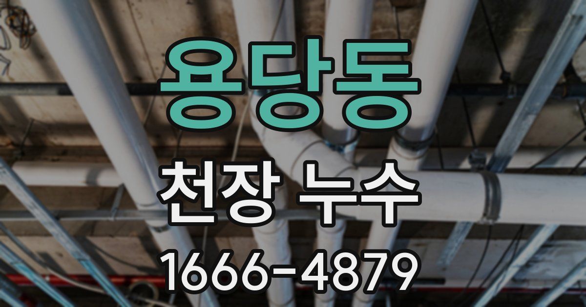 용당동 천장 누수