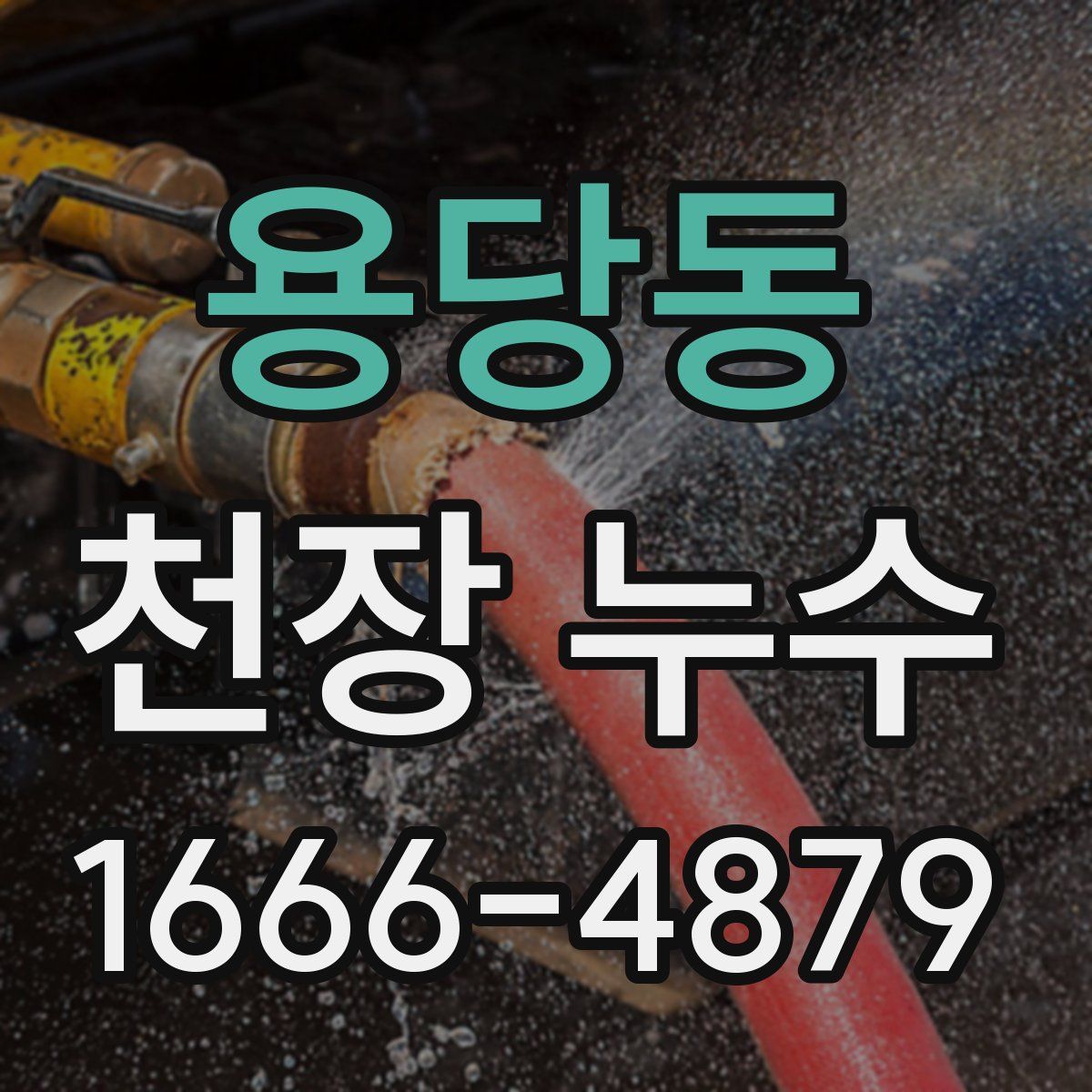 용당동 천장 누수