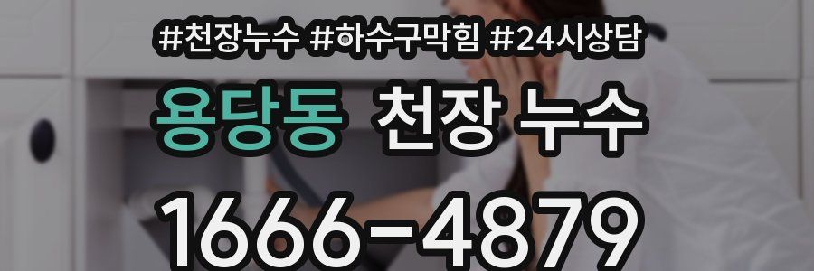 용당동 천장 누수