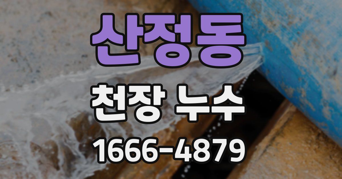 산정동 천장 누수