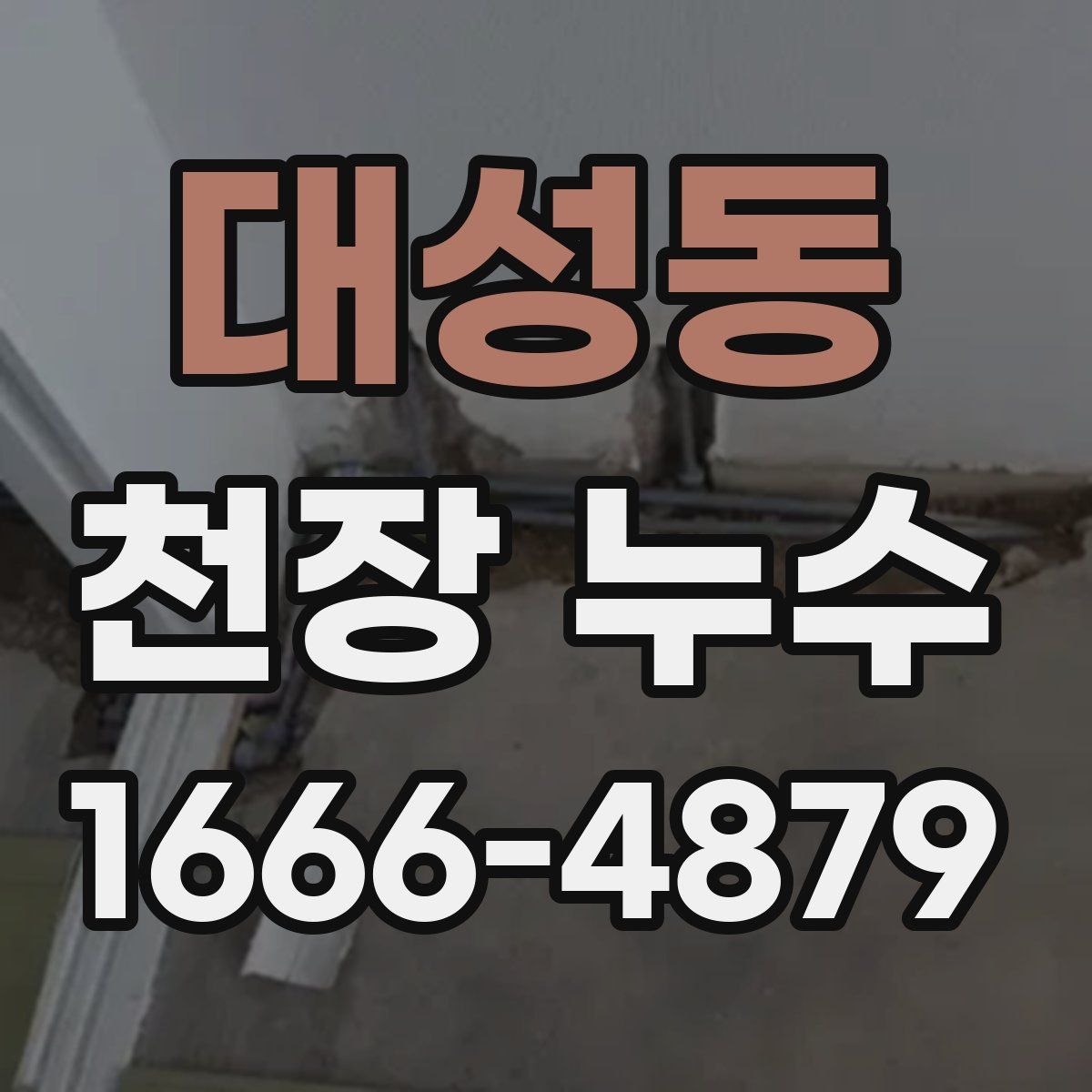 대성동 천장 누수