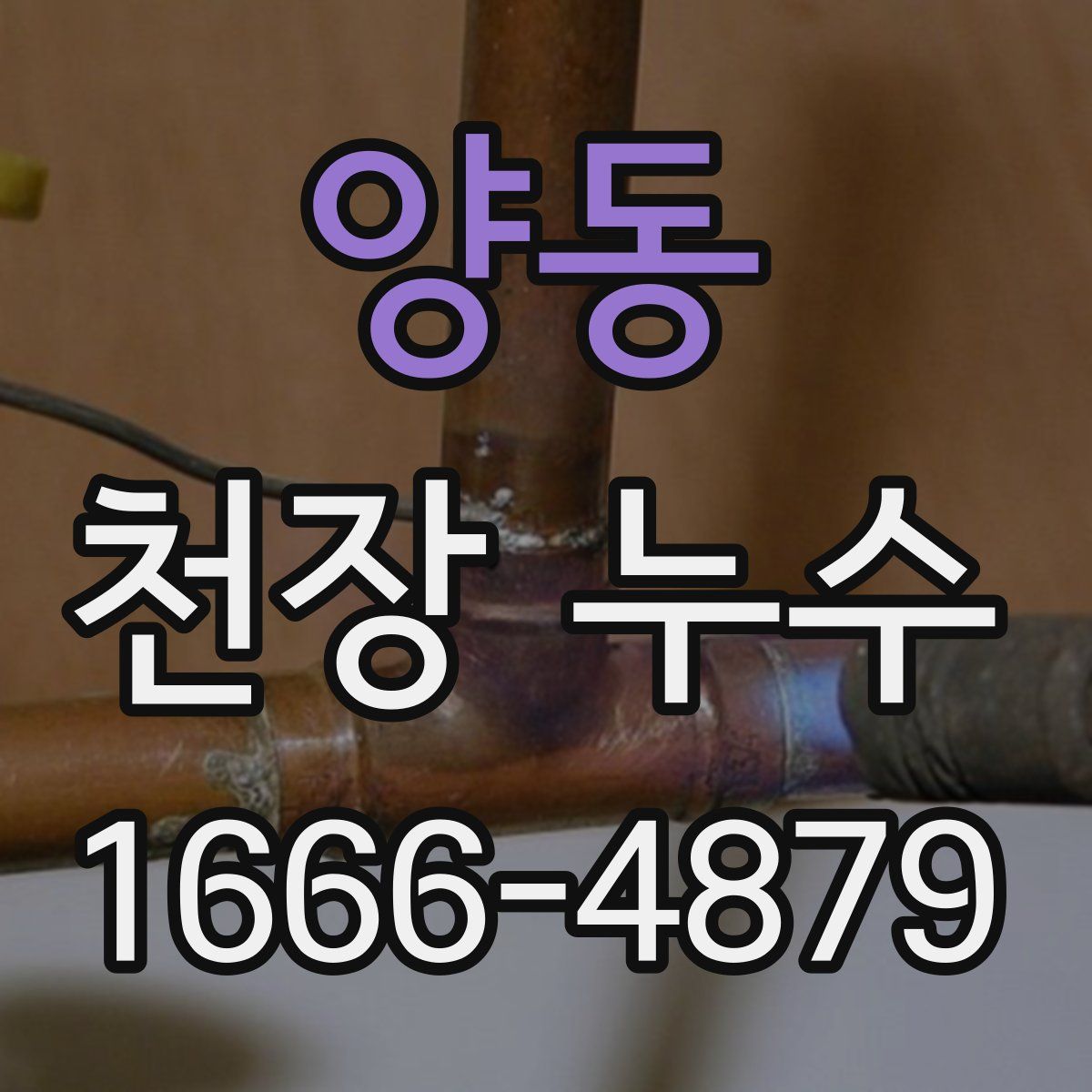 양동 천장 누수