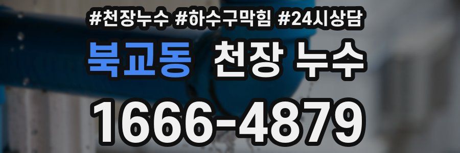 북교동 천장 누수