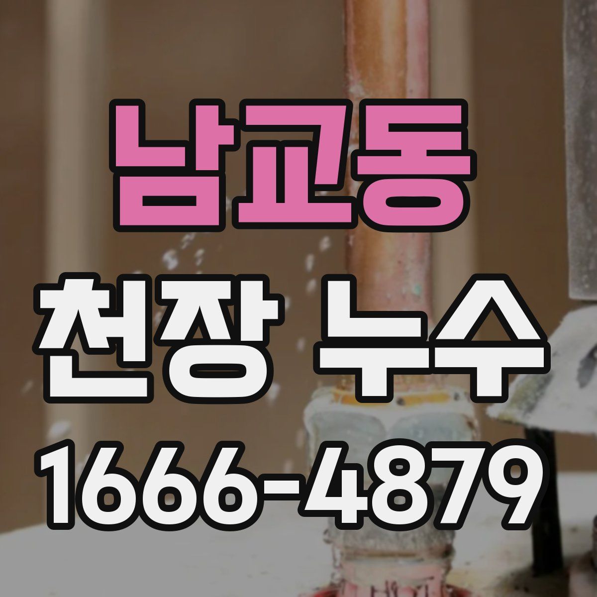 남교동 천장 누수