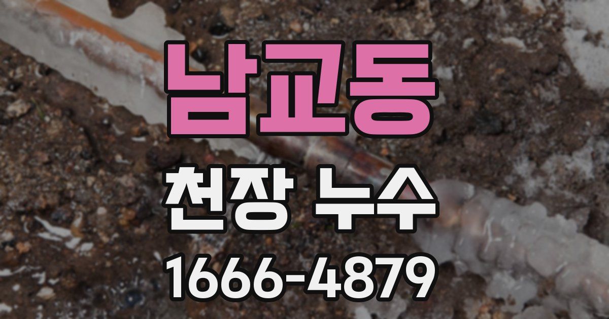 남교동 천장 누수