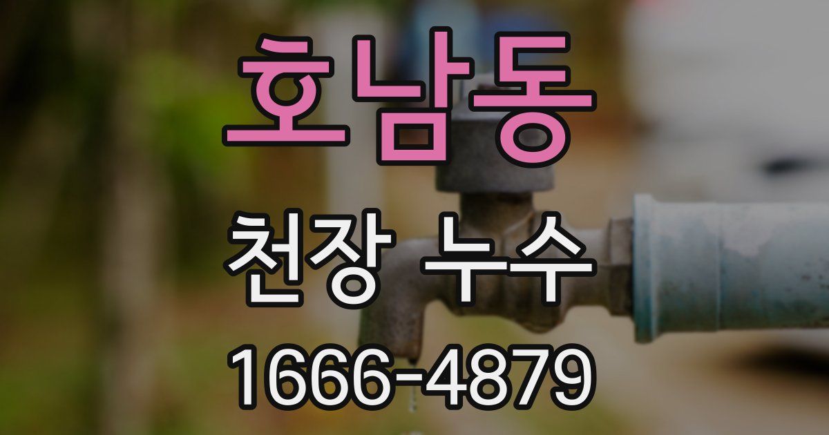 호남동 천장 누수