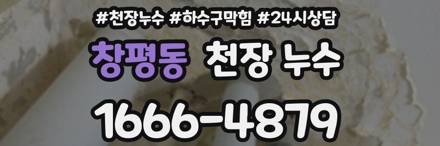 창평동 천장 누수