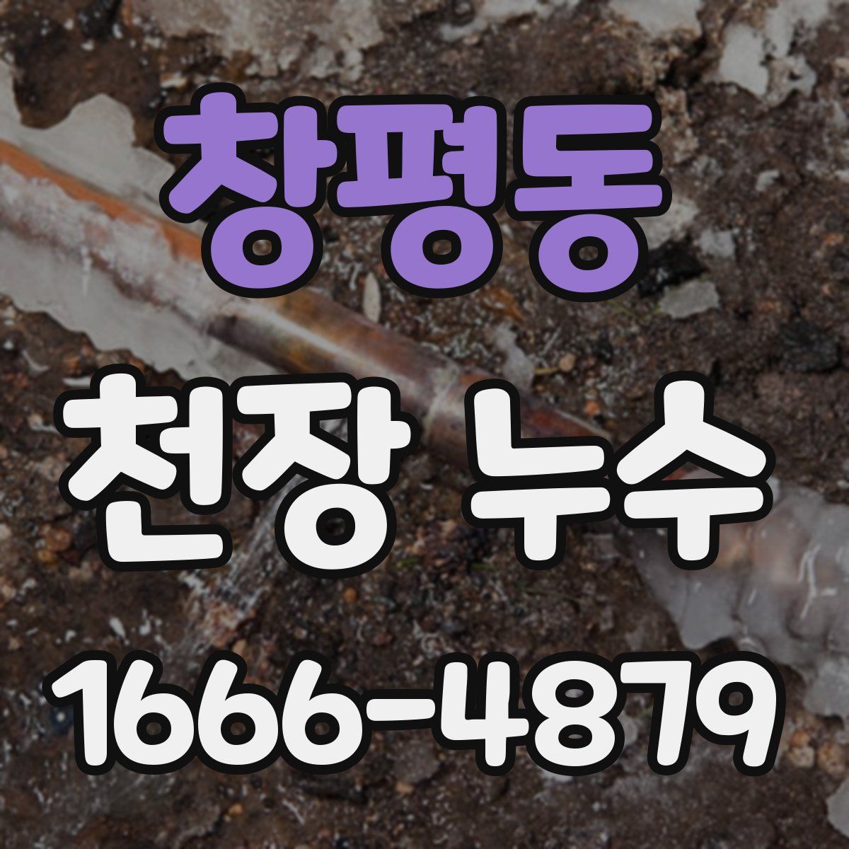 창평동 천장 누수