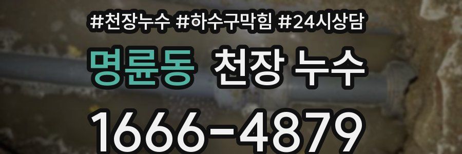 명륜동 천장 누수