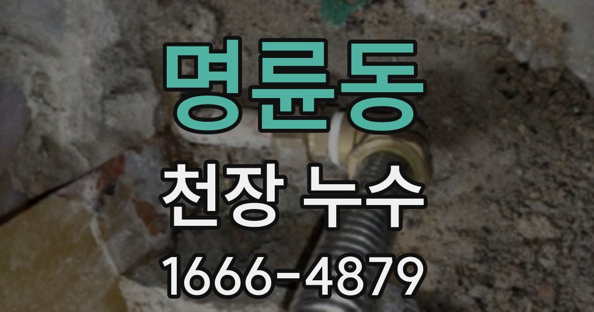 명륜동 천장 누수