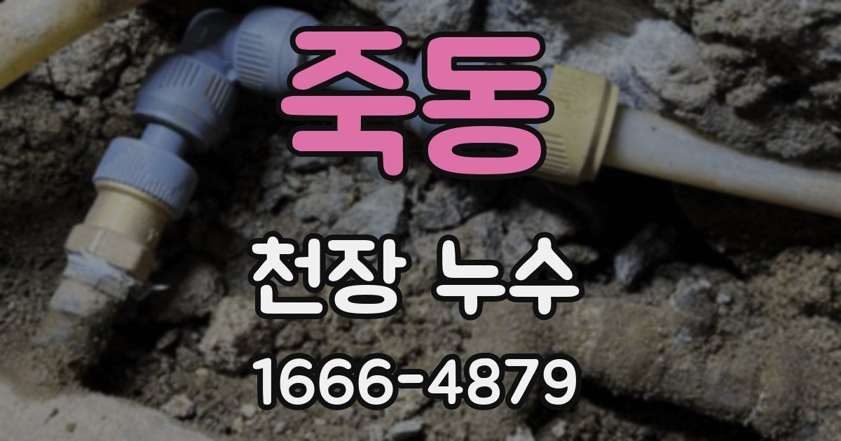 죽동 천장 누수