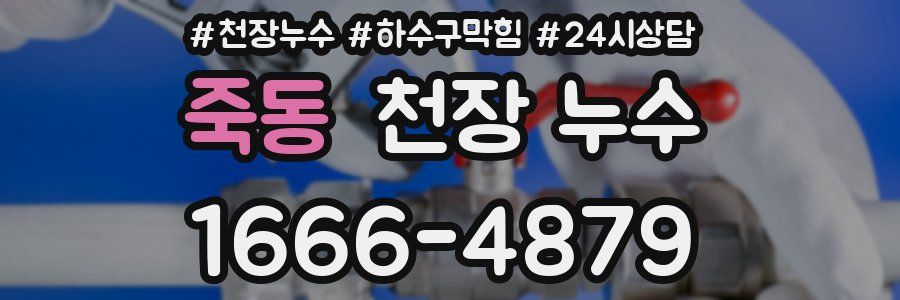 죽동 천장 누수