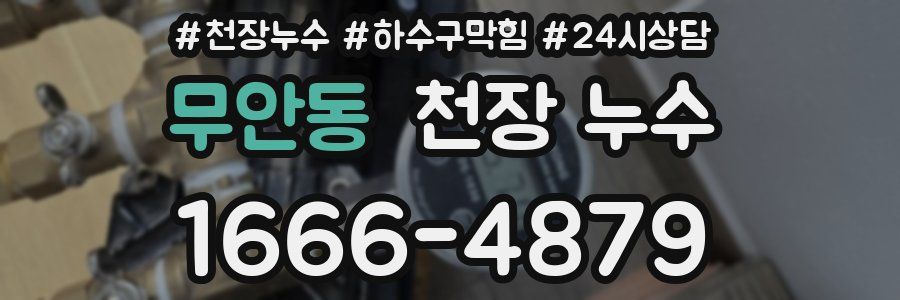 무안동 천장 누수