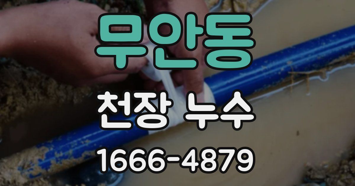 무안동 천장 누수