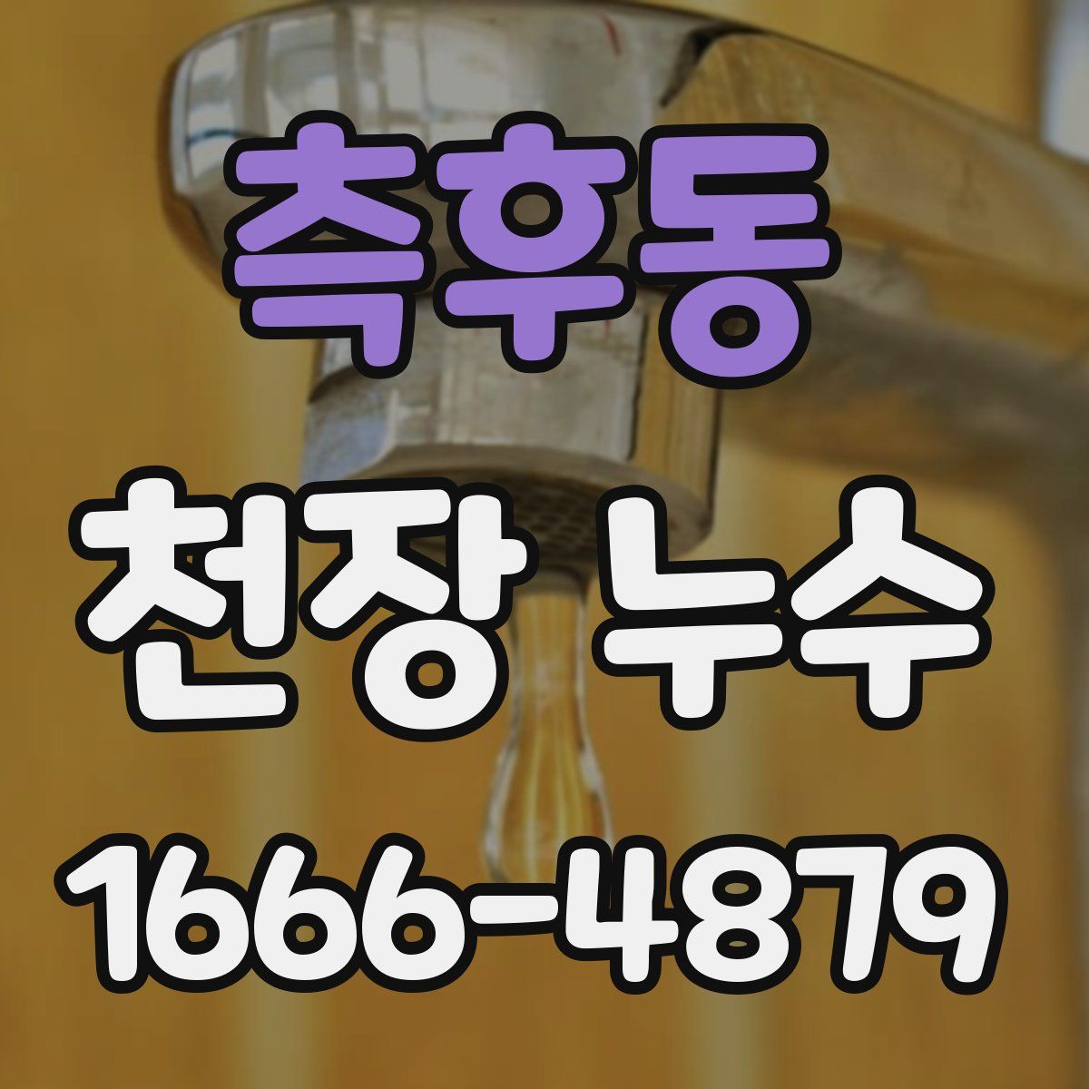 측후동 천장 누수