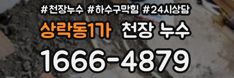 상락동1가 천장 누수