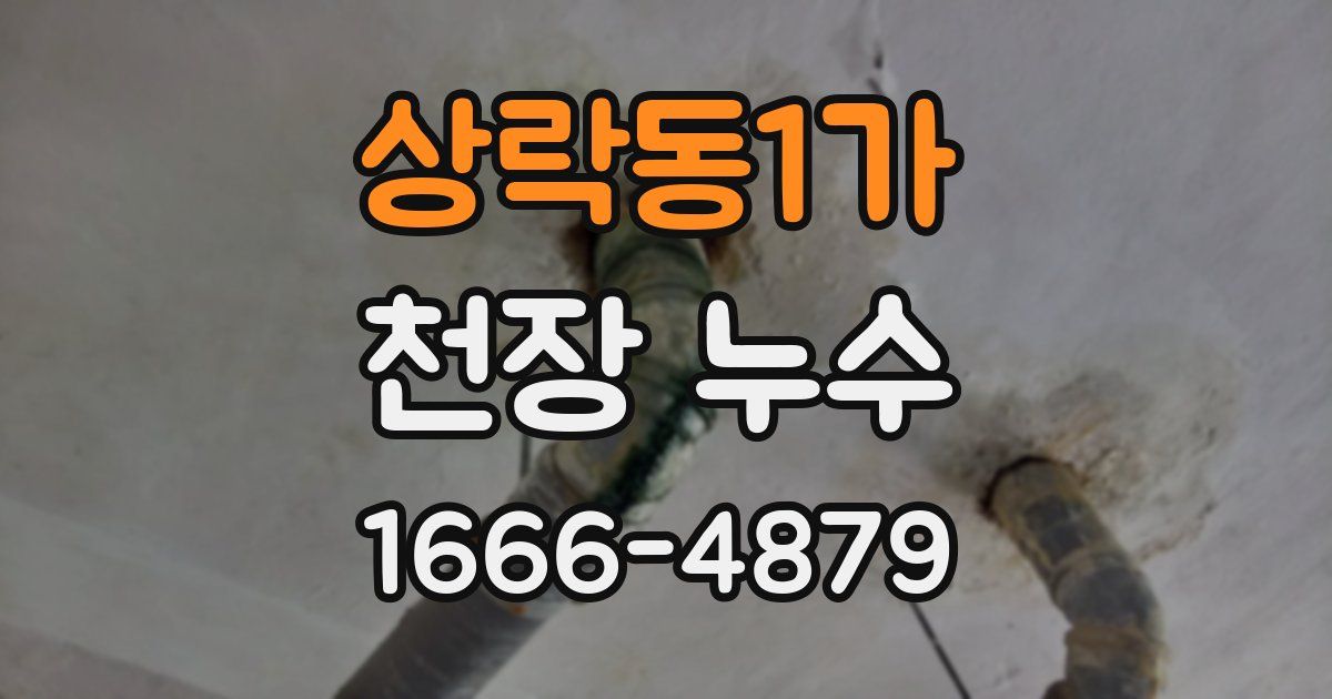 상락동1가 천장 누수