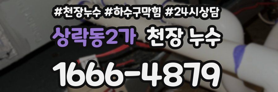 상락동2가 천장 누수