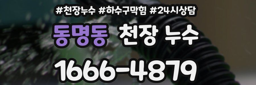 동명동 천장 누수