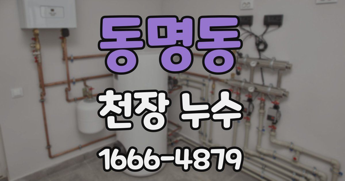 동명동 천장 누수