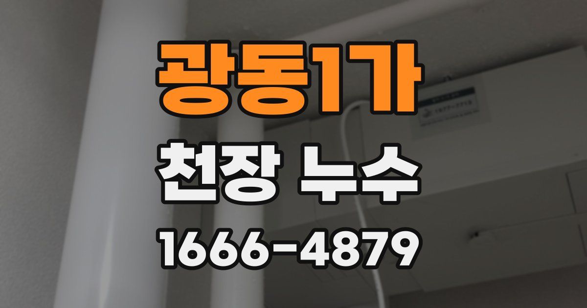 광동1가 천장 누수