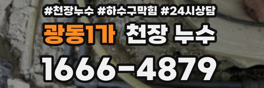 광동1가 천장 누수