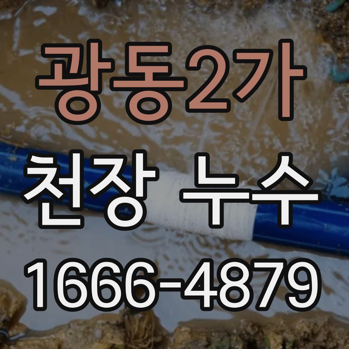 광동2가 천장 누수