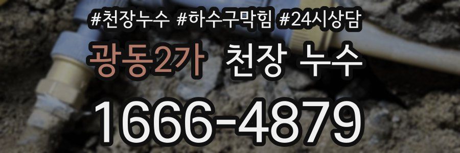 광동2가 천장 누수