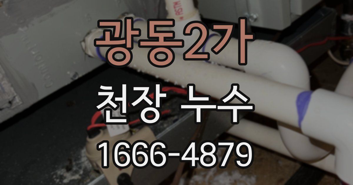 광동2가 천장 누수