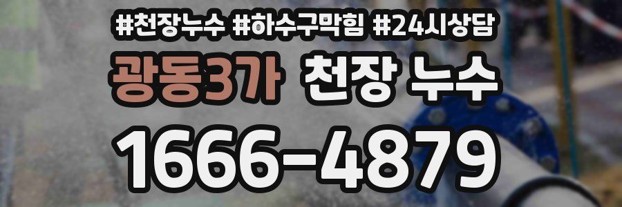 광동3가 천장 누수