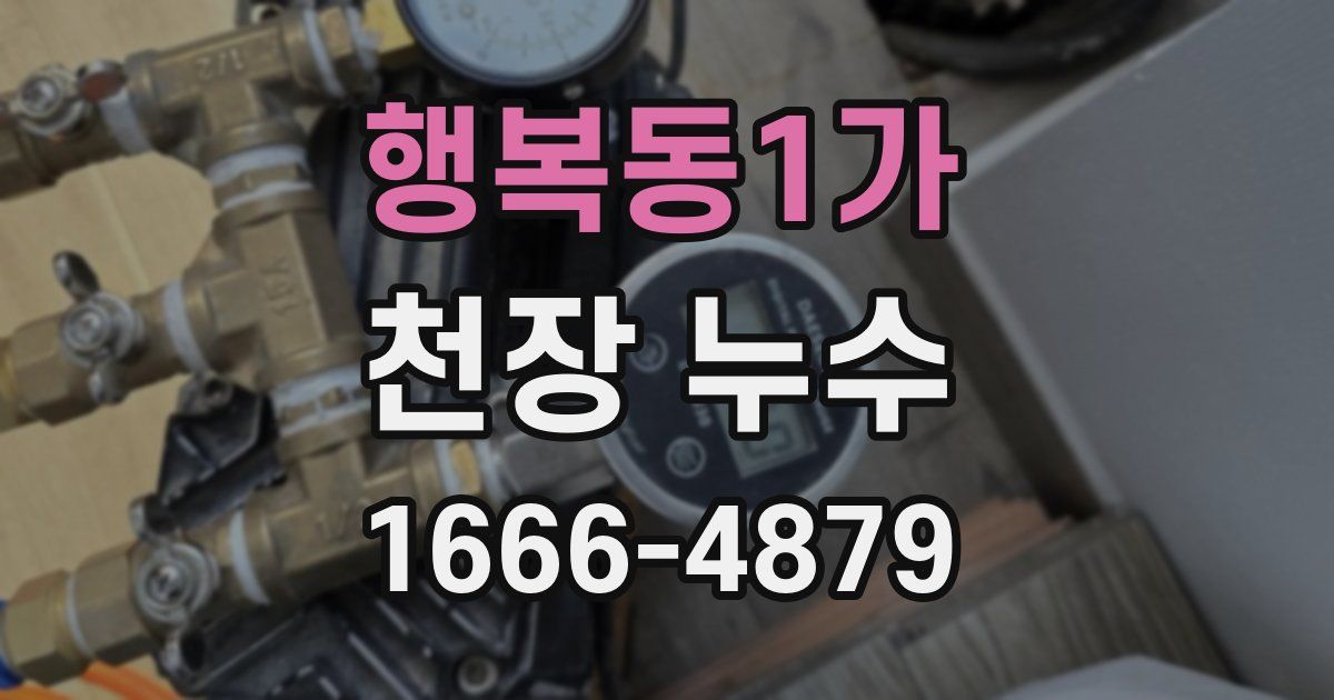 행복동1가 천장 누수