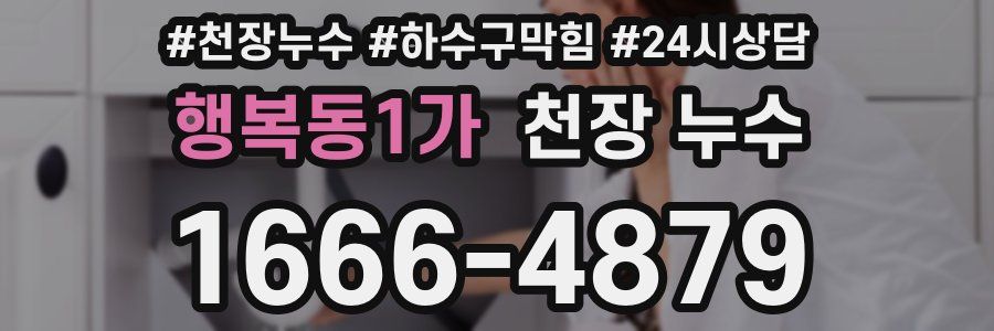 행복동1가 천장 누수