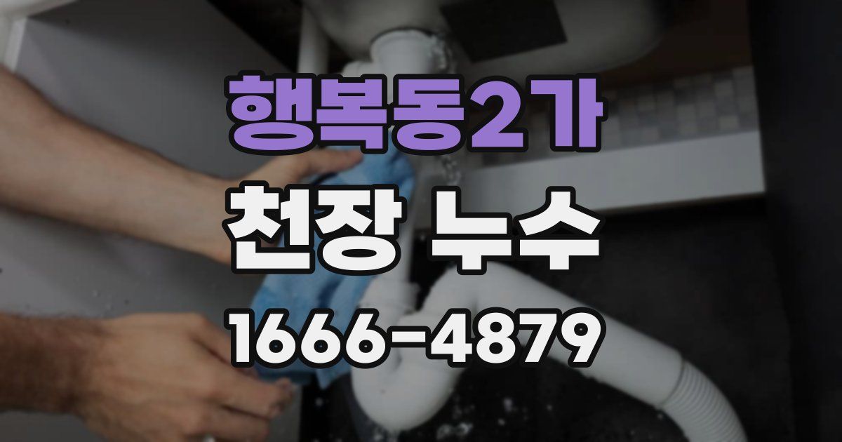 행복동2가 천장 누수