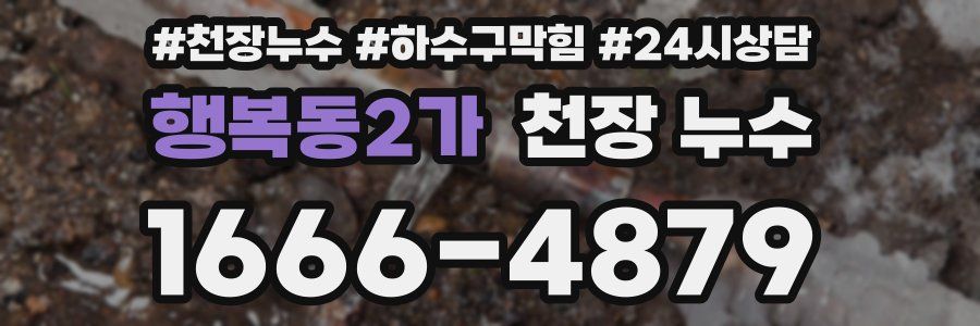 행복동2가 천장 누수