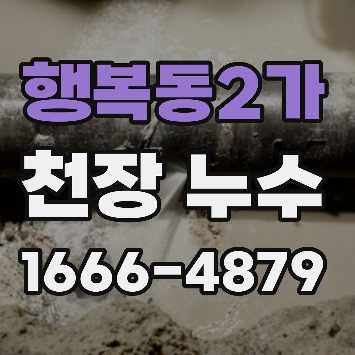 행복동2가 천장 누수