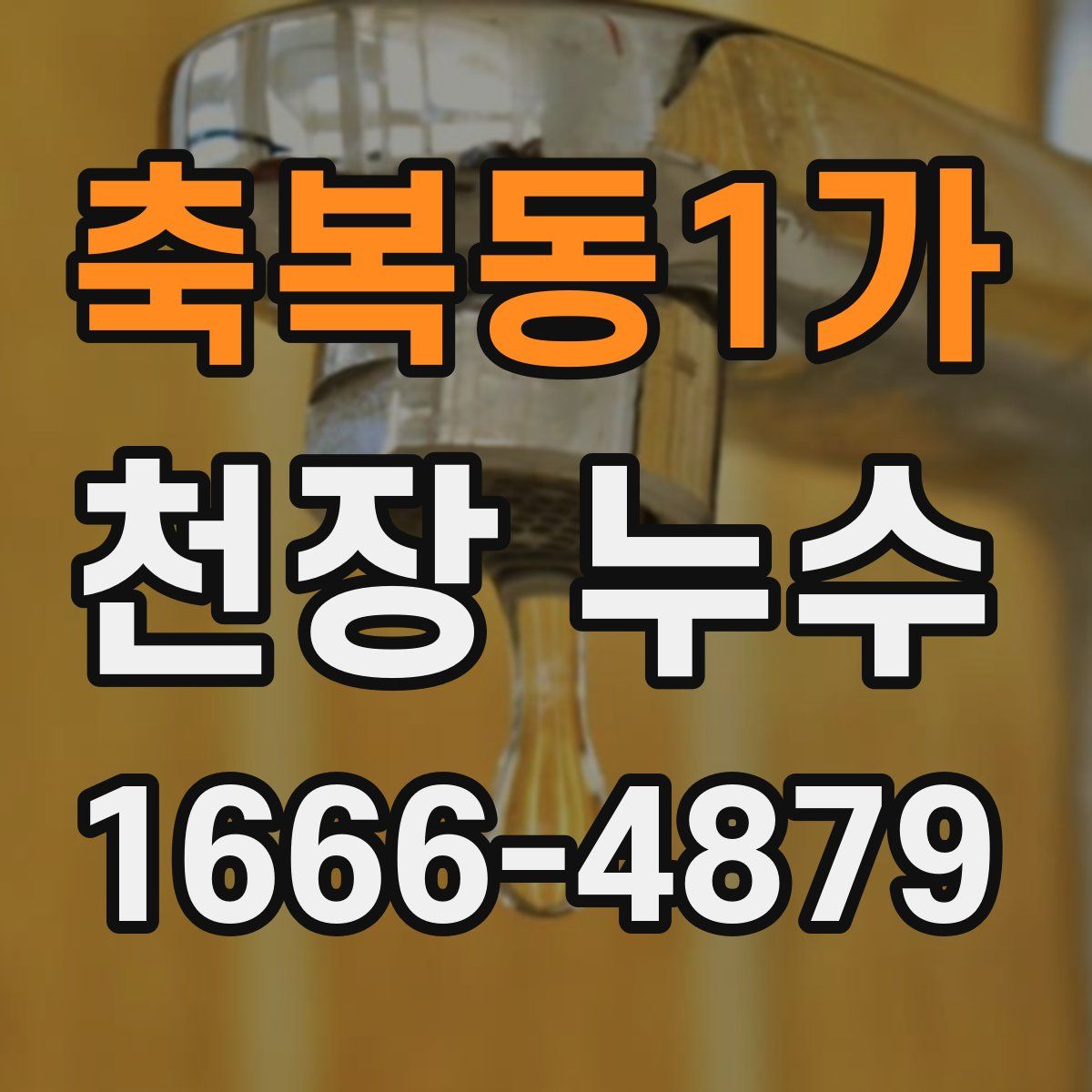 축복동1가 천장 누수