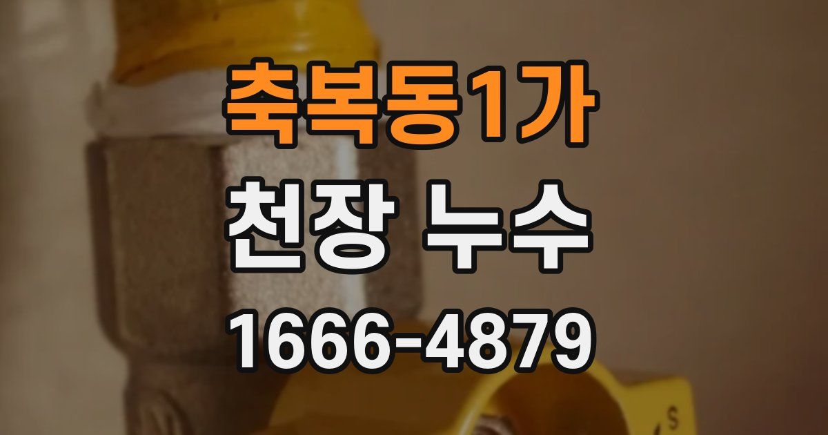 축복동1가 천장 누수