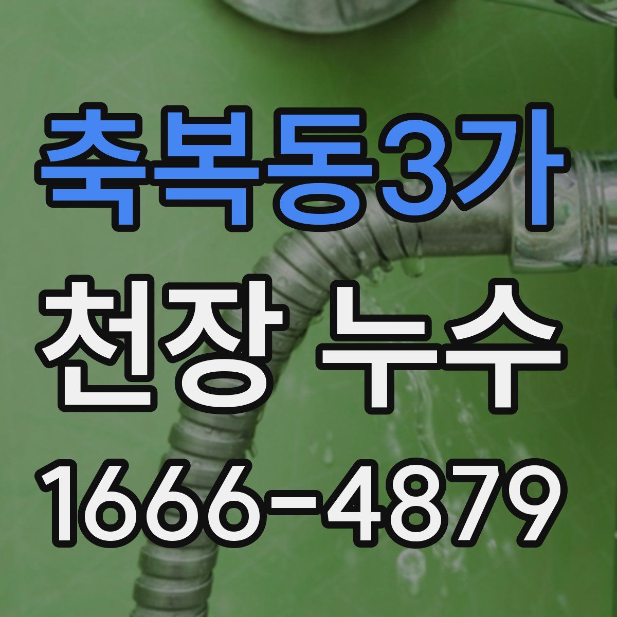 축복동3가 천장 누수