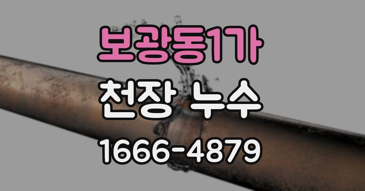 보광동1가 천장 누수