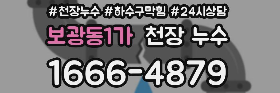 보광동1가 천장 누수