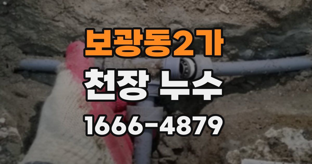 보광동2가 천장 누수