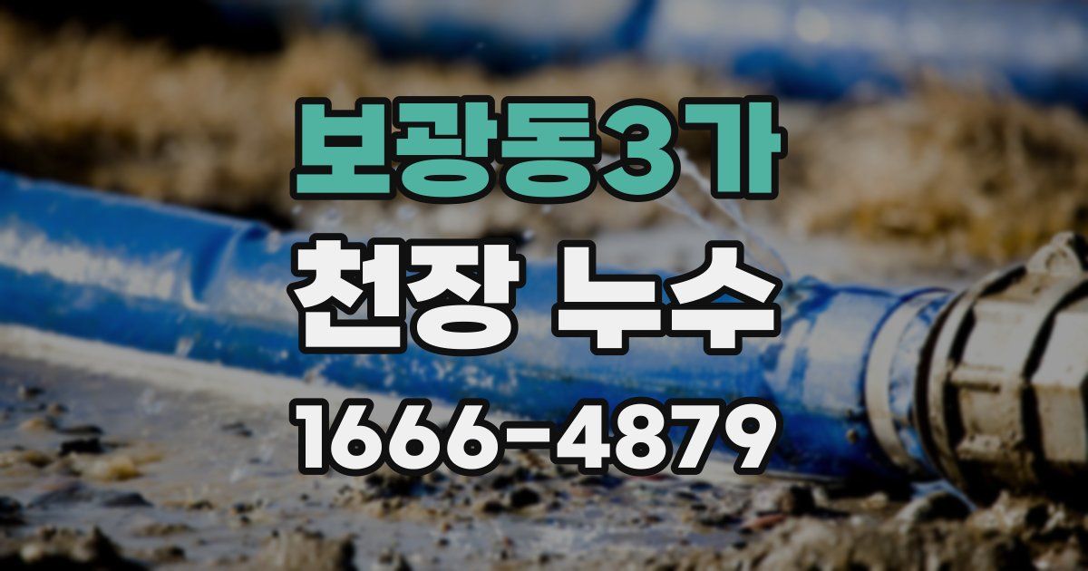 보광동3가 천장 누수