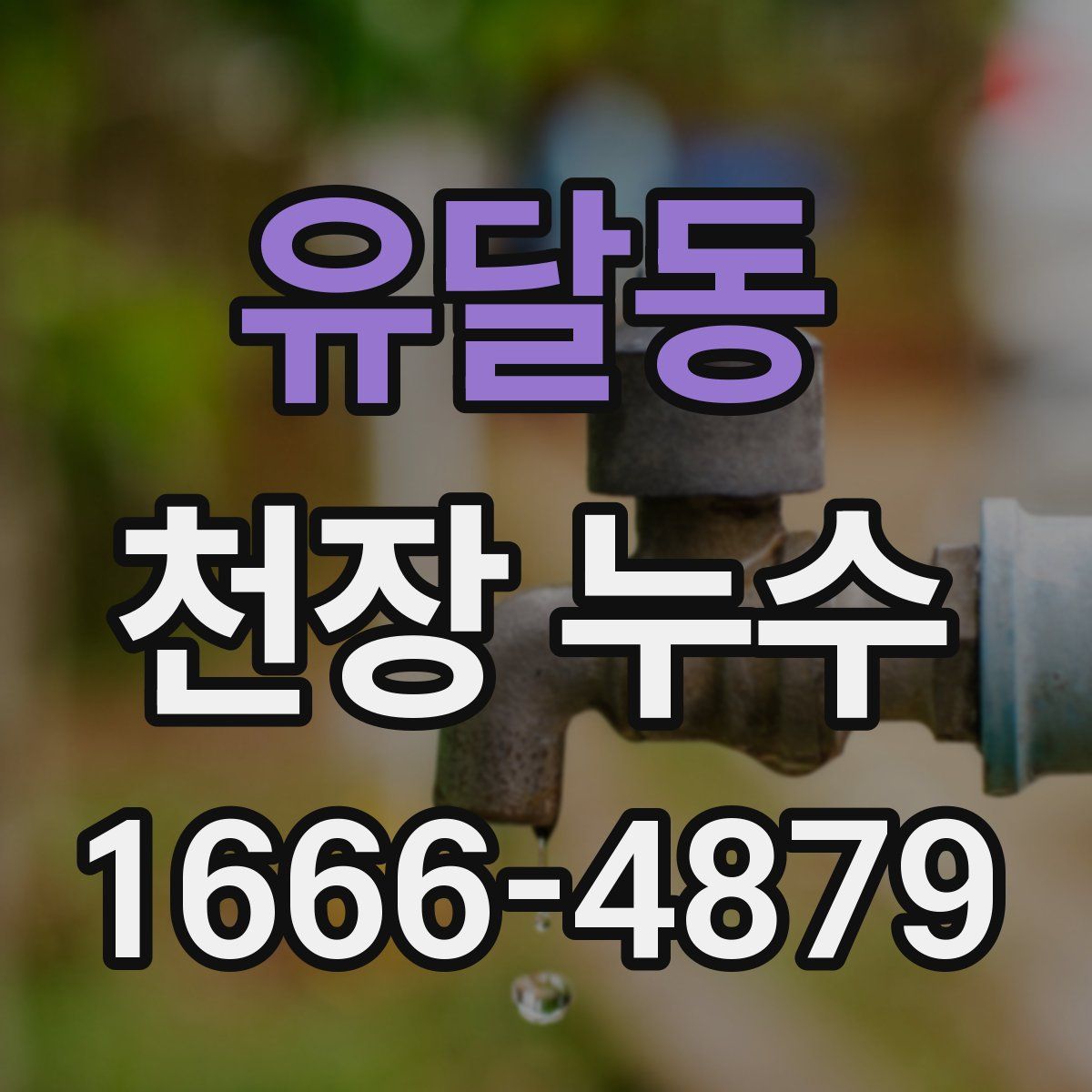 유달동 천장 누수