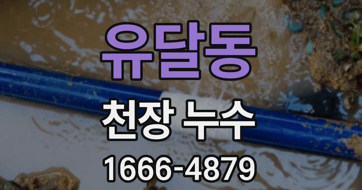 유달동 천장 누수