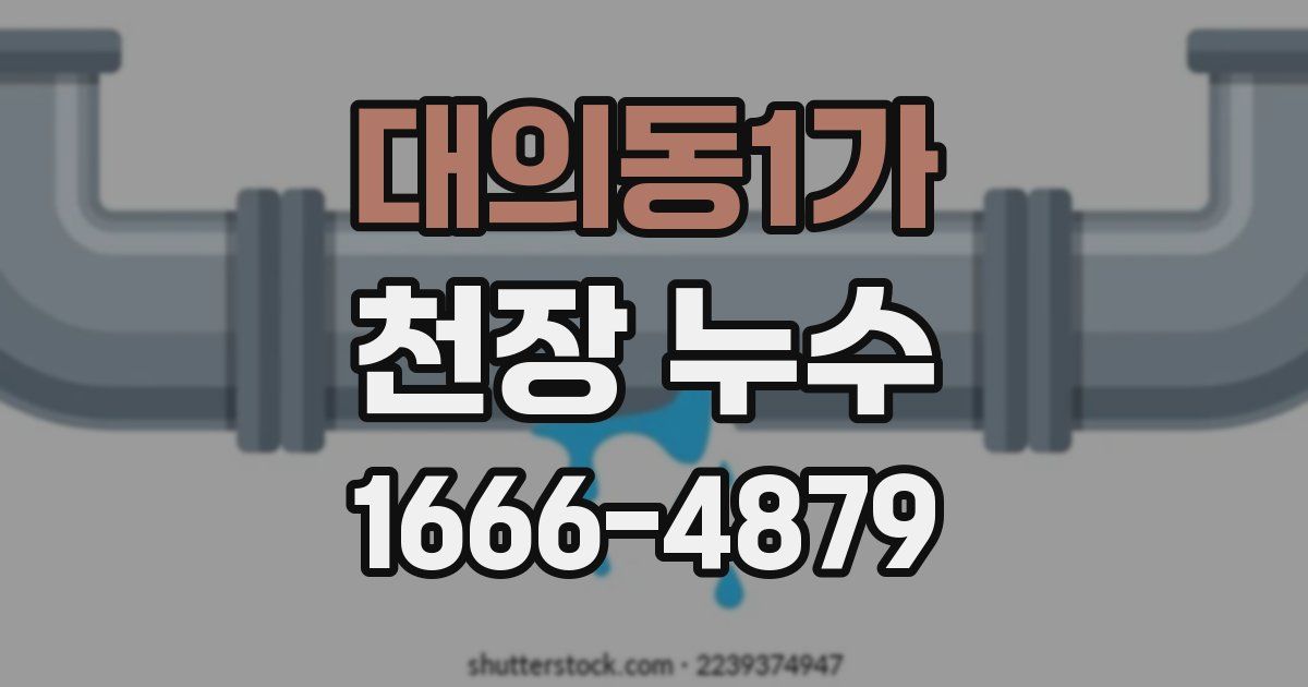 대의동1가 천장 누수
