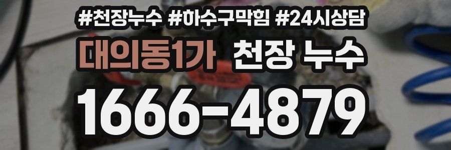 대의동1가 천장 누수
