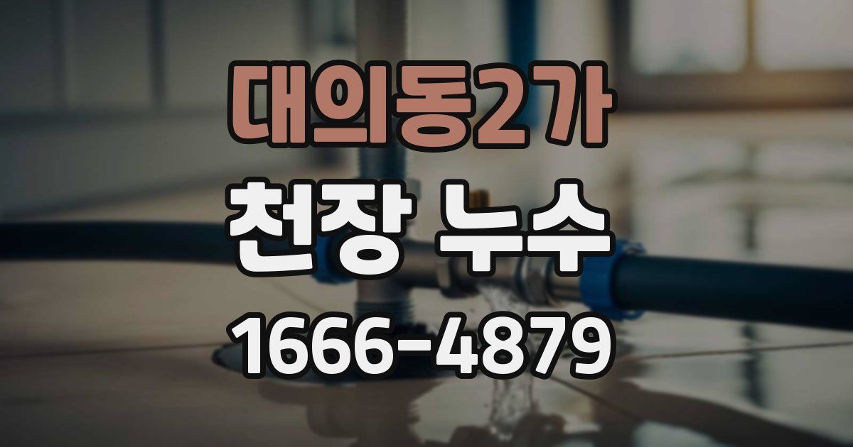 대의동2가 천장 누수