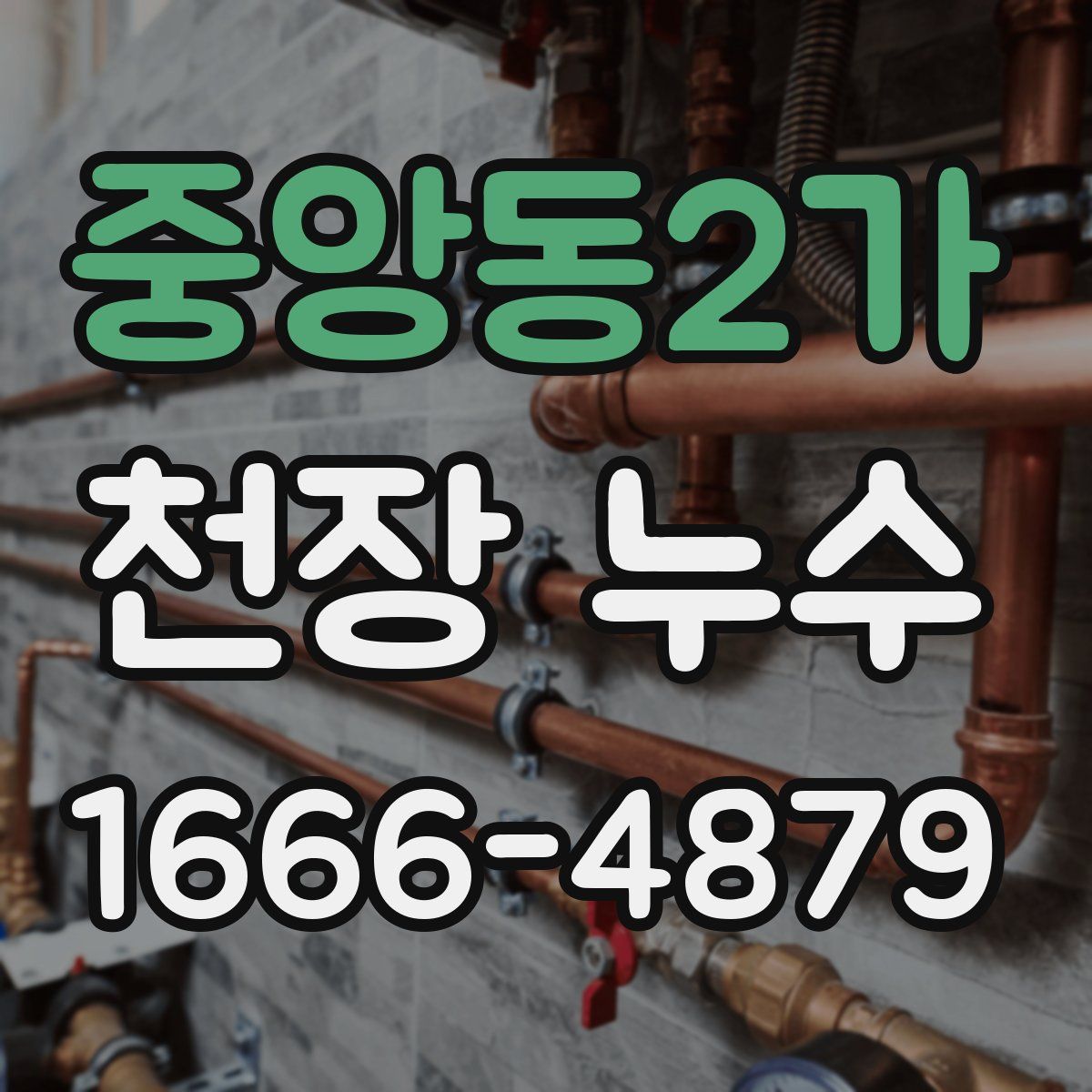 중앙동2가 천장 누수