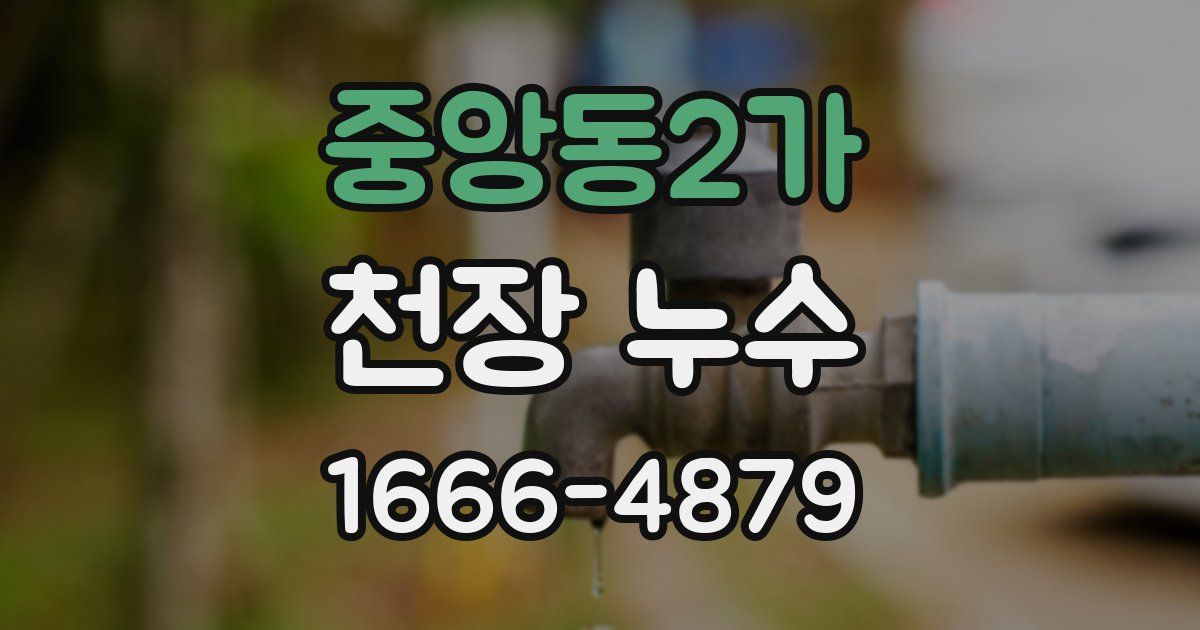 중앙동2가 천장 누수